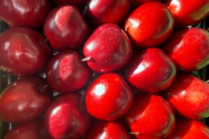 04.03.2026. Sandomierz. Sandomierskie Spotkania Sadownicze / Fot. Grażyna Szlęzak-Wójcik - Radio Kielce