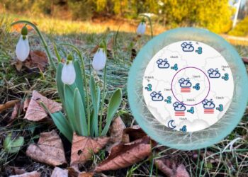 Eksplozja wiosny! Dwukrotnie pojawi się jednak niebezpieczna szadź