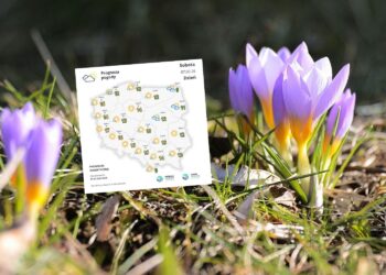 Wiosna przyspiesza. Na szczytach Gór Świętokrzyskich 10 stopni