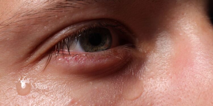 Jak sobie radzić w sezonie alergii? - Radio Kielce Jak sobie radzić w sezonie alergii?