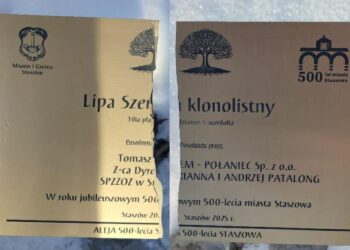 Wandale niszczą mienie wspólne