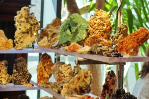 Kielce. Giełda Minerałów, Biżuterii i Skamieniałości - Radio Kielce