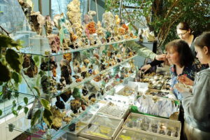 Kielce. Giełda Minerałów, Biżuterii i Skamieniałości - Radio Kielce