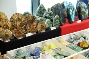 Kielce. Giełda Minerałów, Biżuterii i Skamieniałości - Radio Kielce