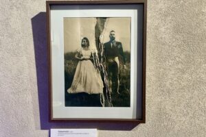 18.02.2026. Kielce. Wystawa „Transmutacja” w galerii Eviva L’arte / Fot. Dorota Klusek - Radio Kielce