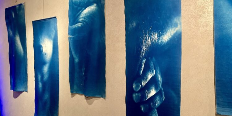 Fotograficzna refleksja nad ciałem, jako zapisem historii człowieka