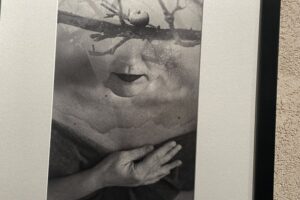 18.02.2026. Kielce. Wystawa „Transmutacja” w galerii Eviva L’arte / Fot. Dorota Klusek - Radio Kielce