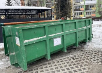 W Sandomierzu można łatwo pozbyć się poświątecznych choinek