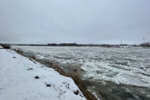 06.02.2026. Sandomierz. Zamarznięta Wisła / Fot. Grażyna Szlęzak-Wójcik - Radio Kielce