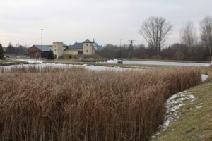 10.02.2026. Kije. Zbiorniki wodne / Fot. Marta Gajda-Kruk - Radio Kielce