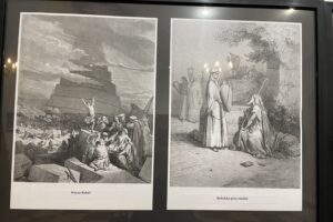 27.02.2026. Sandomierz. wystawa grafik w sali ekspozycyjnej ratusza w Sandomierzu / Fot. Grażyna Szlęzak-Wójcik - Radio Kielce