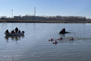 Doświadczone morsy pokonały Wisłę wpław - Radio Kielce