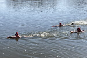 Doświadczone morsy pokonały Wisłę wpław - Radio Kielce