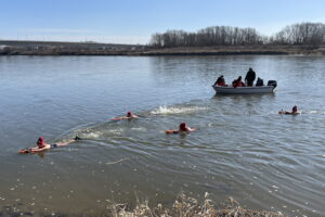 Doświadczone morsy pokonały Wisłę wpław - Radio Kielce