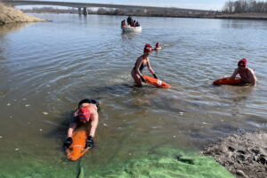 Doświadczone morsy pokonały Wisłę wpław - Radio Kielce