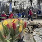 Dzień Kobiet w Parku Piszczele - Radio Kielce Dzień Kobiet w Parku Piszczele - Radio Kielce