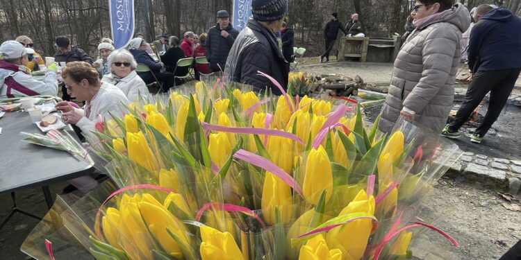 Dzień Kobiet w Parku Piszczele