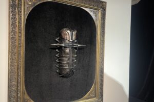 Wystawa w „Windzie” stawia pytania i zachwyca - Radio Kielce