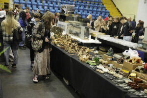 Kielce. Targi terrarystyczne - Radio Kielce