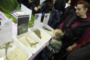 Kielce. Targi terrarystyczne - Radio Kielce