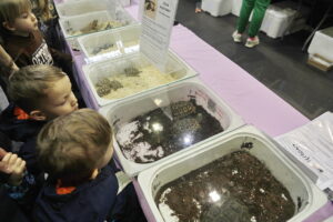 Kielce. Targi terrarystyczne - Radio Kielce