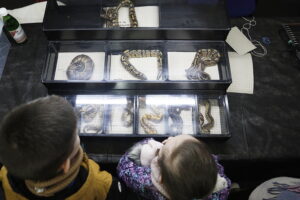 Kielce. Targi terrarystyczne - Radio Kielce