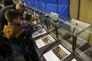 Kielce. Targi terrarystyczne - Radio Kielce