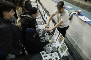 Pająki i węże na wyciągnięcie ręki - Radio Kielce