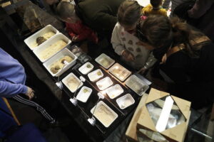 Pająki i węże na wyciągnięcie ręki - Radio Kielce