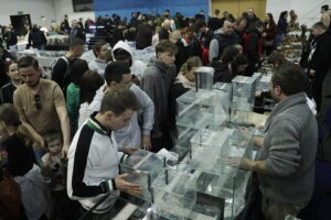 Pająki i węże na wyciągnięcie ręki - Radio Kielce