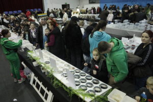 Pająki i węże na wyciągnięcie ręki - Radio Kielce