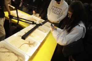 Pająki i węże na wyciągnięcie ręki - Radio Kielce