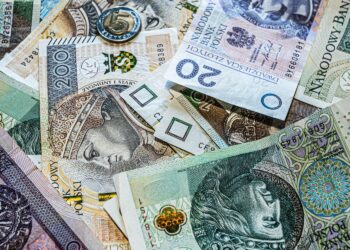 Zdjęcie ilustracyjne / źródło canva.com