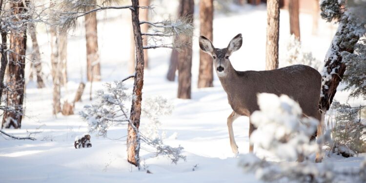 Zdjęcie ilustracyjne. / Źródło: Canva