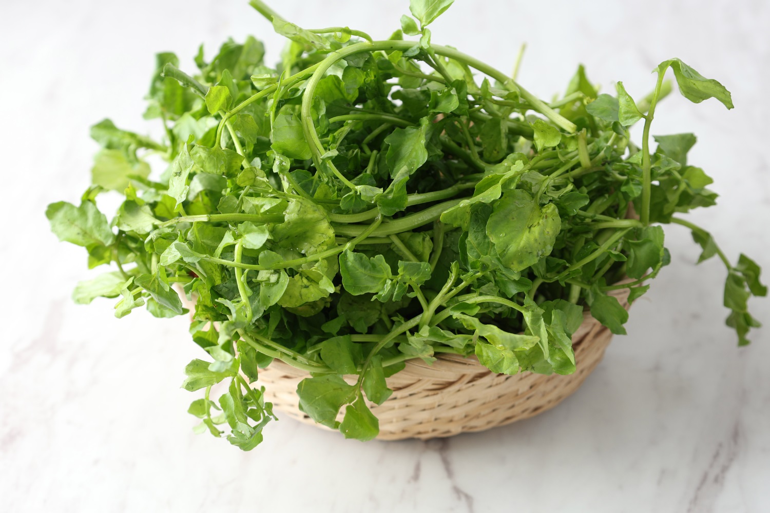 Rukiew wodna – najzdrowsze warzywo na świecie!