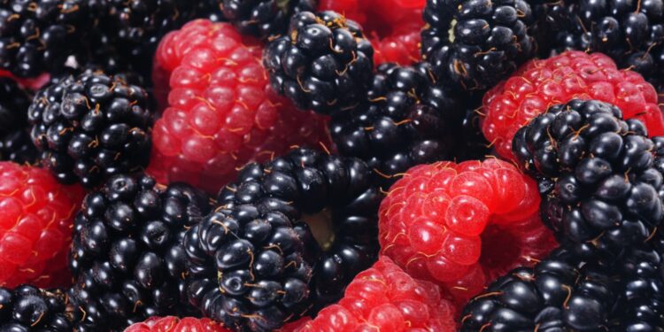 Czarna malina – najpotężniejszy polski superfood