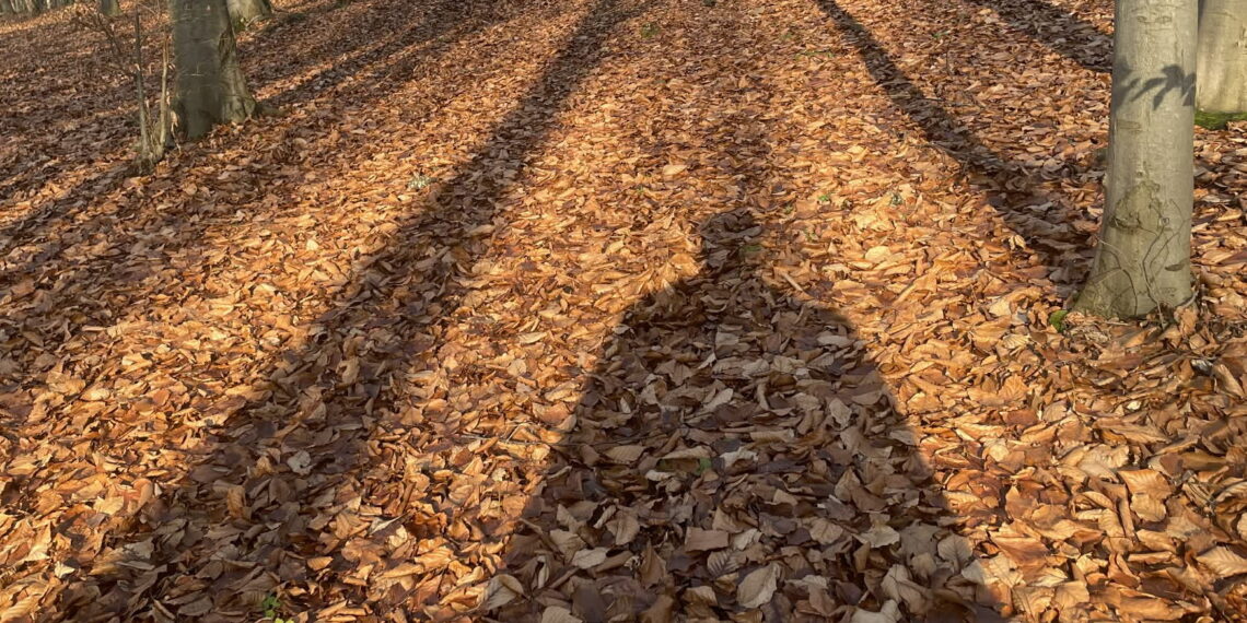 Czy Krynicy Kielecczyzny zaszkodził Trupieniec?