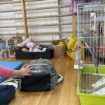 09.02.2026. Końskie. Szkoła Podstawowa nr 1. Pogorzelcy / Fot. Magdalena Galas-Klusek - Radio Kielce