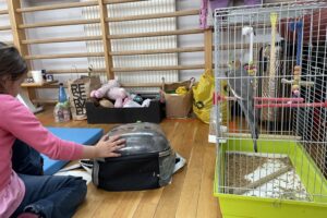 09.02.2026. Końskie. Szkoła Podstawowa nr 1. Pogorzelcy / Fot. Magdalena Galas-Klusek - Radio Kielce