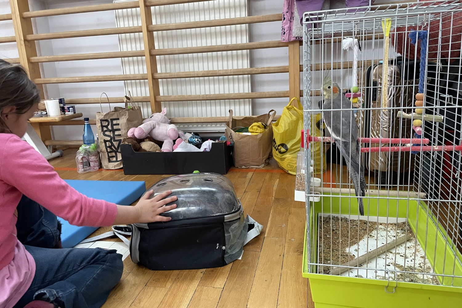 09.02.2026. Końskie. Szkoła Podstawowa nr 1. Pogorzelcy / Fot. Magdalena Galas-Klusek - Radio Kielce