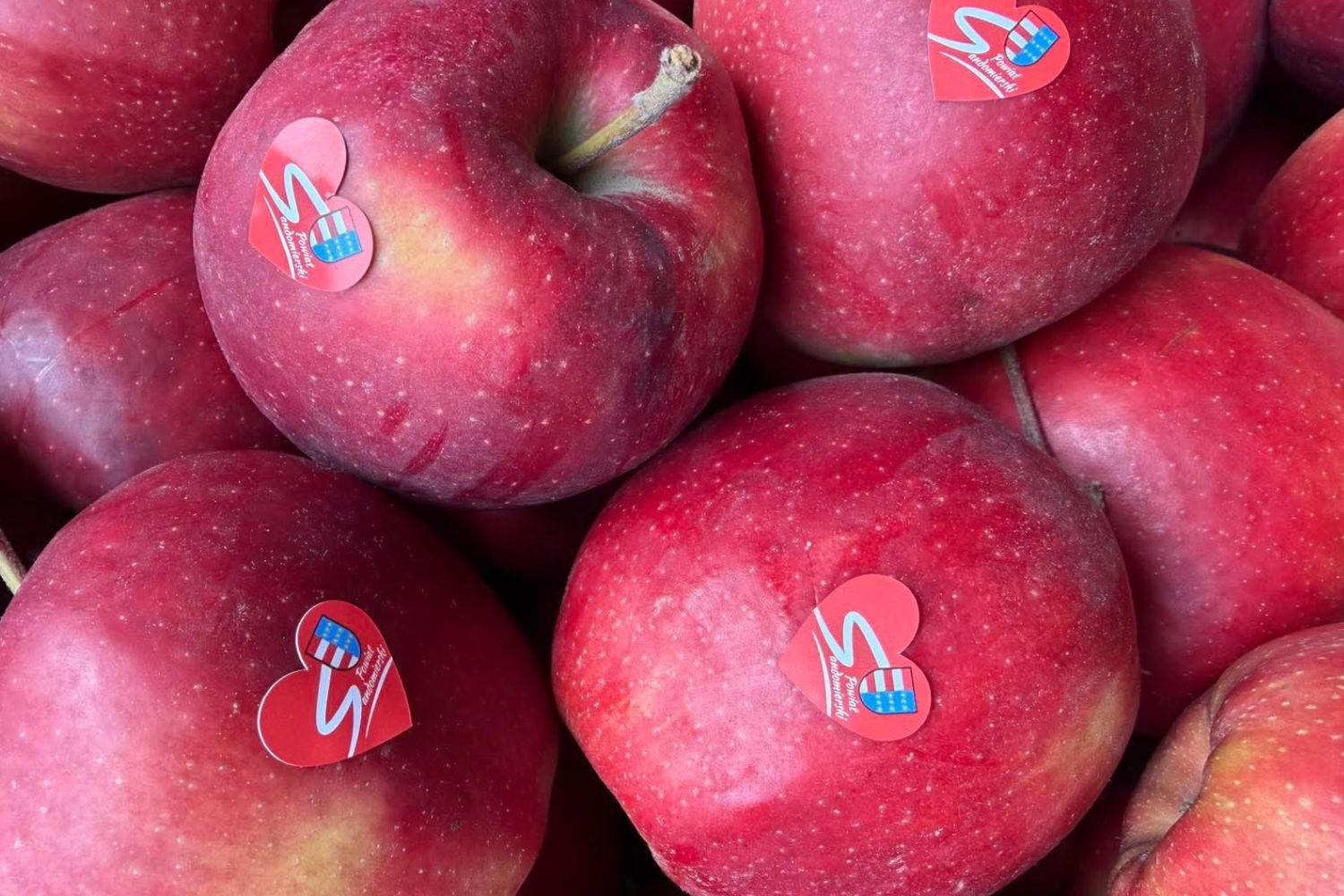 W Walentynki rozdają jabłka