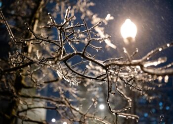 W nocy do 29 st. C mrozu na północnym wschodzie kraju