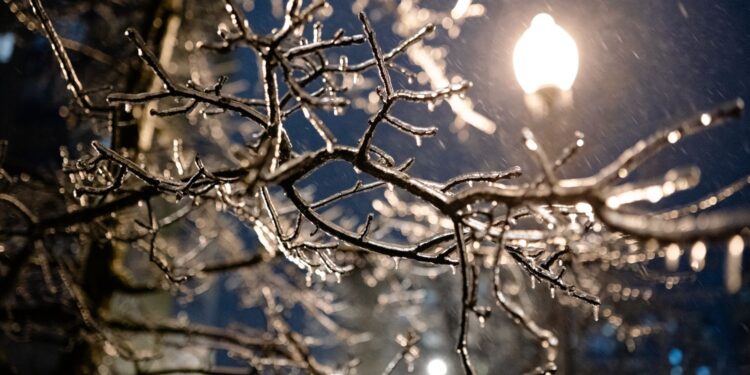 W nocy do 29 st. C mrozu na północnym wschodzie kraju