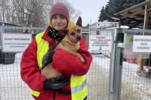 Sandomierz. Schronisko dla psów w Sandomierzu / Fot. Grażyna Szlęzak-Wójcik - Radio Kielce