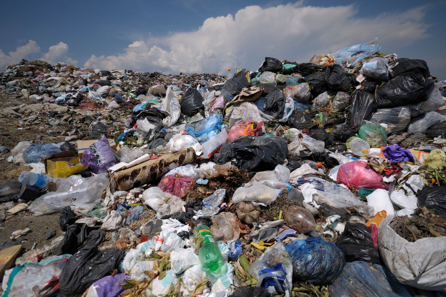 Powiat buski płaci za transporty z całego regionu