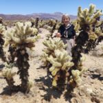 Muzyczne podróże przez świat. Dzika natura USA. Cz.1