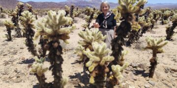 Muzyczne podróże przez świat. Dzika natura USA. Cz.1