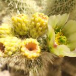 Muzyczne podróże przez świat. Dzika natura USA. Cz.1 - Radio Kielce