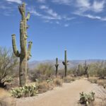 Muzyczne podróże przez świat. Dzika natura USA. Cz.1 - Radio Kielce