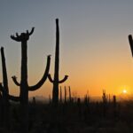 Muzyczne podróże przez świat. Dzika natura USA. Cz.1 - Radio Kielce